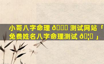 小哥八字命理 🍀 测试网站「免费姓名八字命理测试 🦆 」